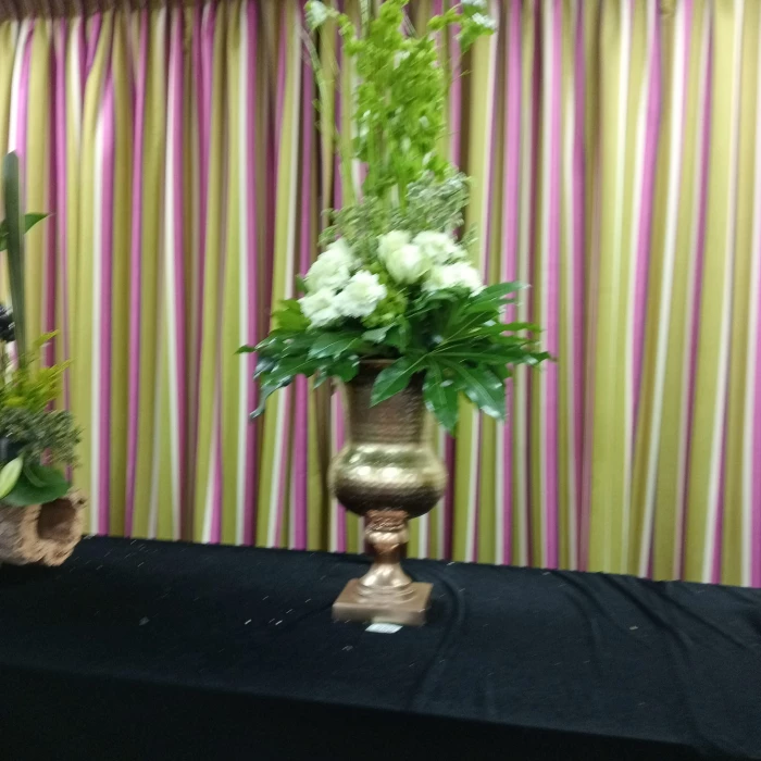 tarvin flower club  image20240313214318burst003