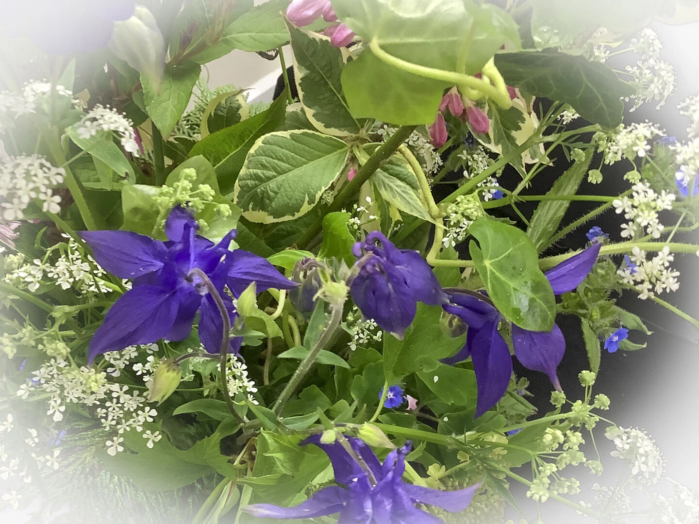 tarvin flower club next meeting 02 20252