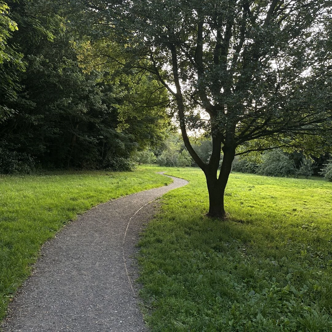 tarvin woodland july 2025  orchard