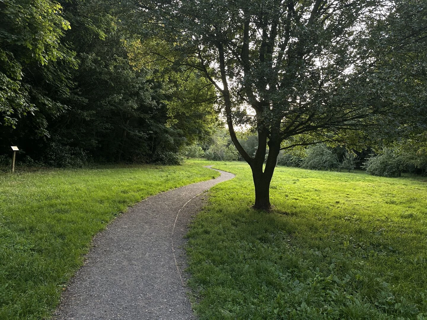 tarvin woodland july 2025  orchard