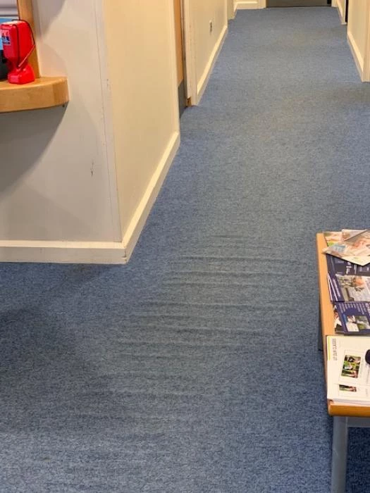 tcc old foyer carpet 7541203926953975938544997640702753219543040n
