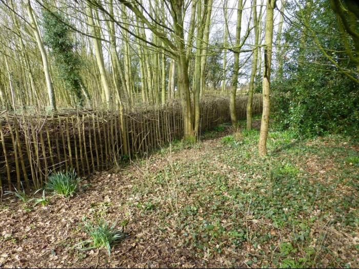 tcw dead hedge nearing completion