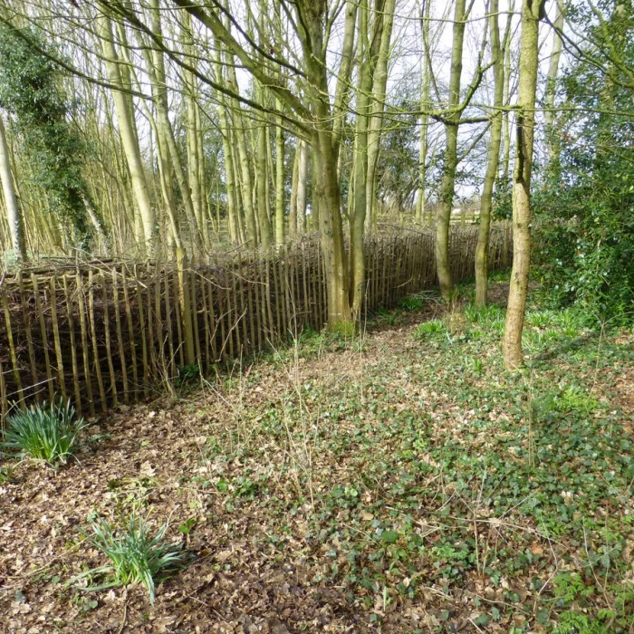 tcw dead hedge nearing completion