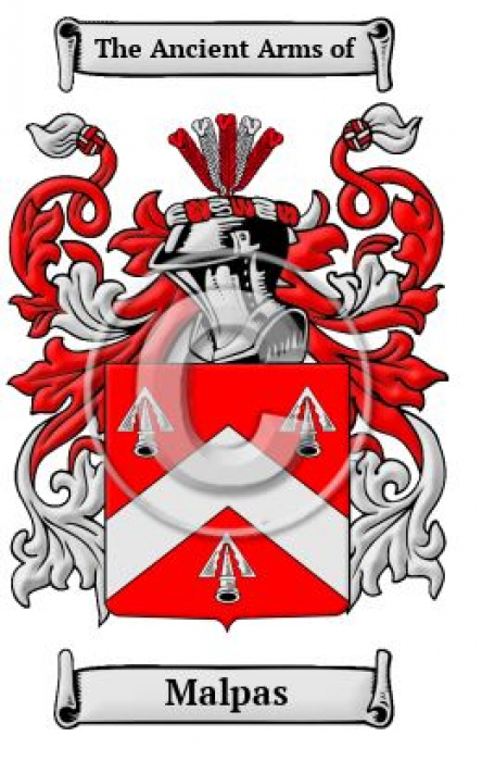 the ancient malpas coat of arms