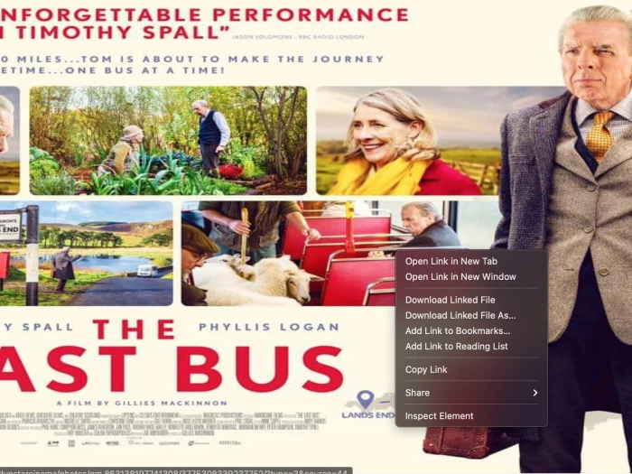 the last bus wide