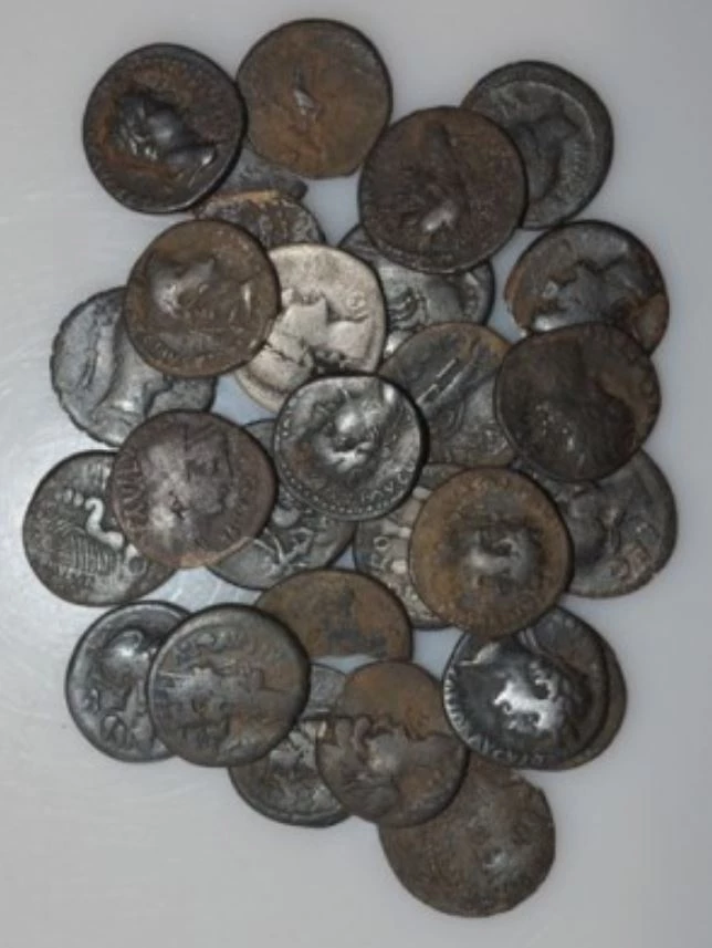 the malpas hoard