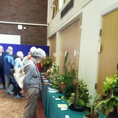 ths 2017 flower arranging exhibits 20170819150035resized 1