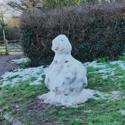 tol  snowman 21st jan image20210121154034290043