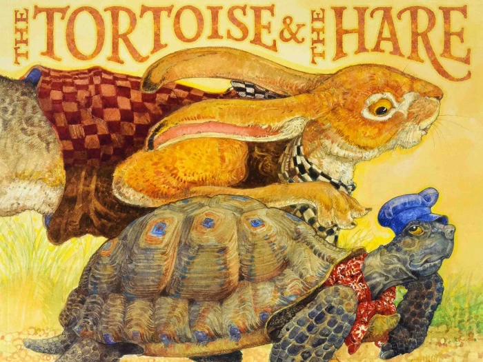 tortoise and haae