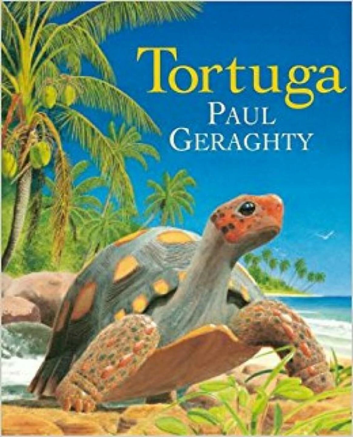 tortuuga