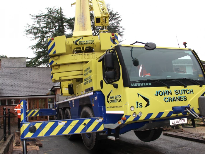 tree removal 6