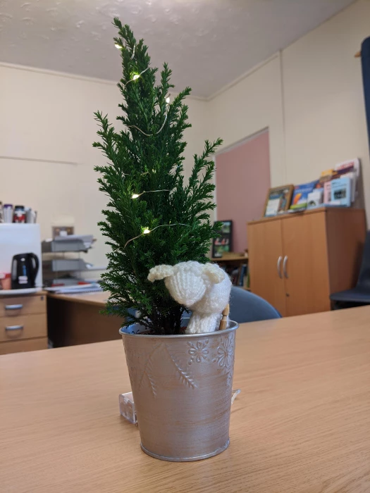 tree sheep