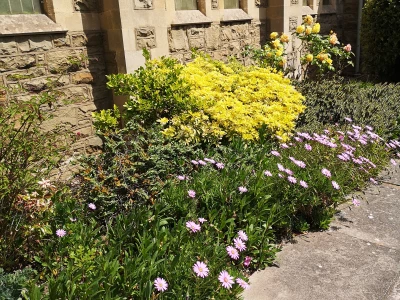 trinity prestatyn gardens