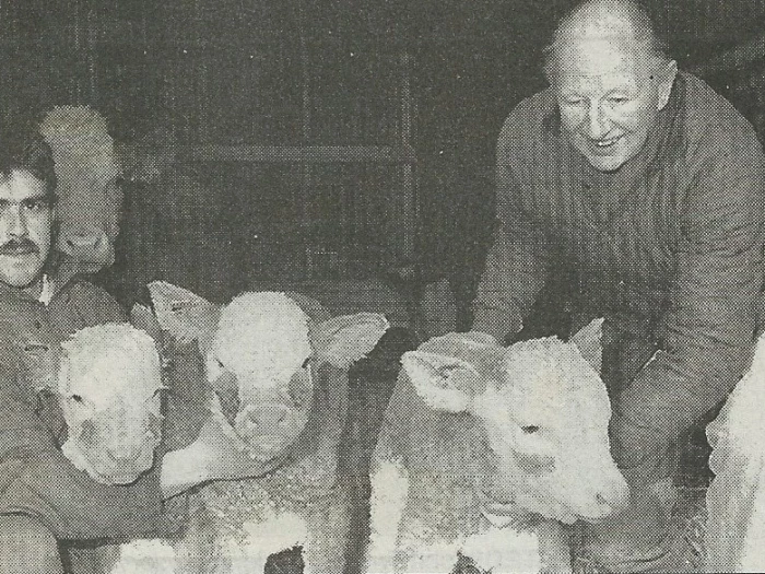 triplets at hochenhull farm jan 1996 photoscan