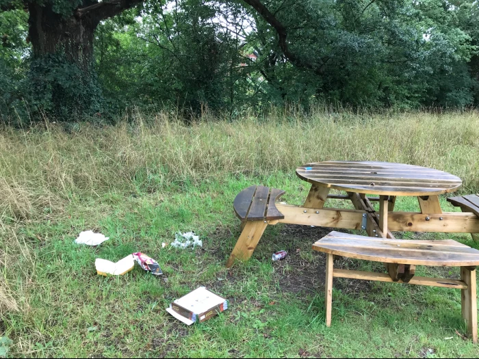 turn pike field rubbish
