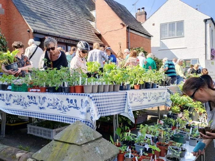 twt plant sale 2023 ba890fe35f674cbf896e5fdc0bdca5ee374045