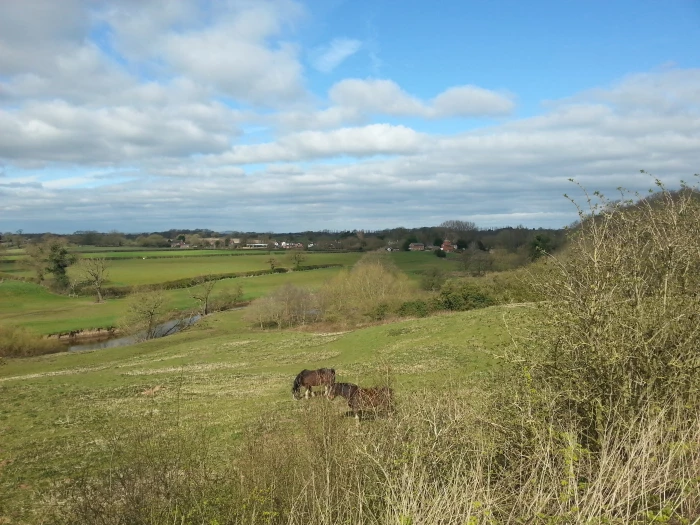 village arenaimage