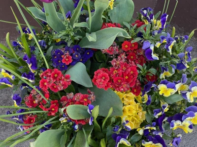 village flowers