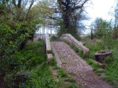 walk packhorse 2