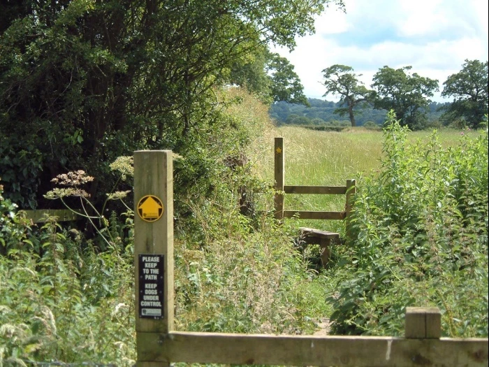 walking towards bolesworth