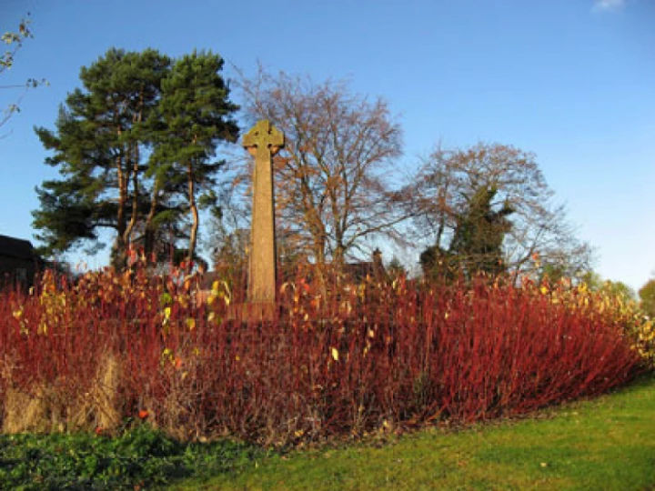 warmemorial51