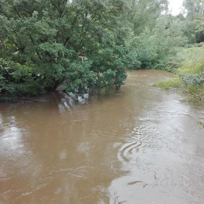 weaver bridge