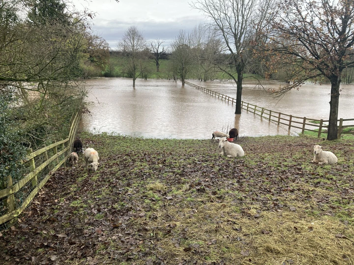 weaver floods 3