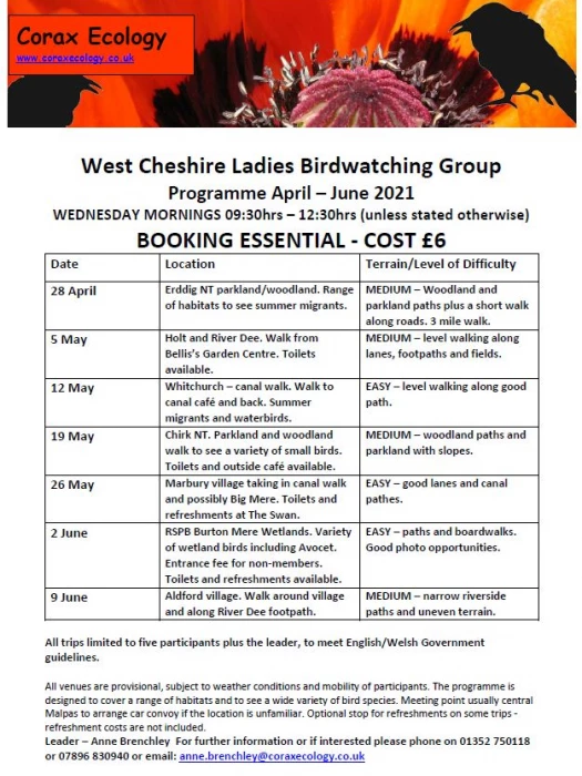 west cheshire ladies birdwatching group