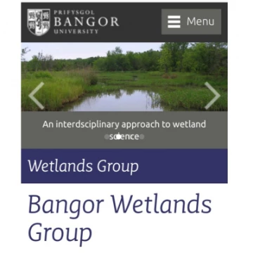 wetlands