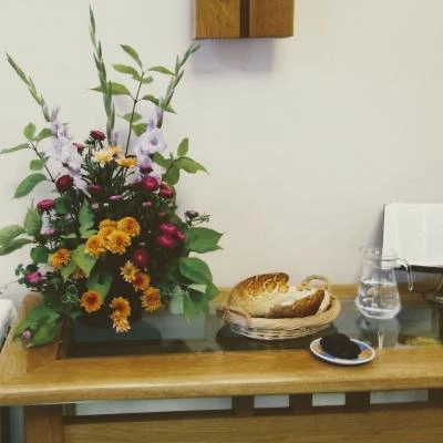 weybay harvest 2