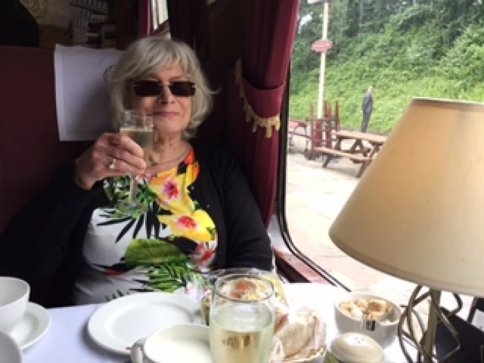 wi janet shuttlewood  train