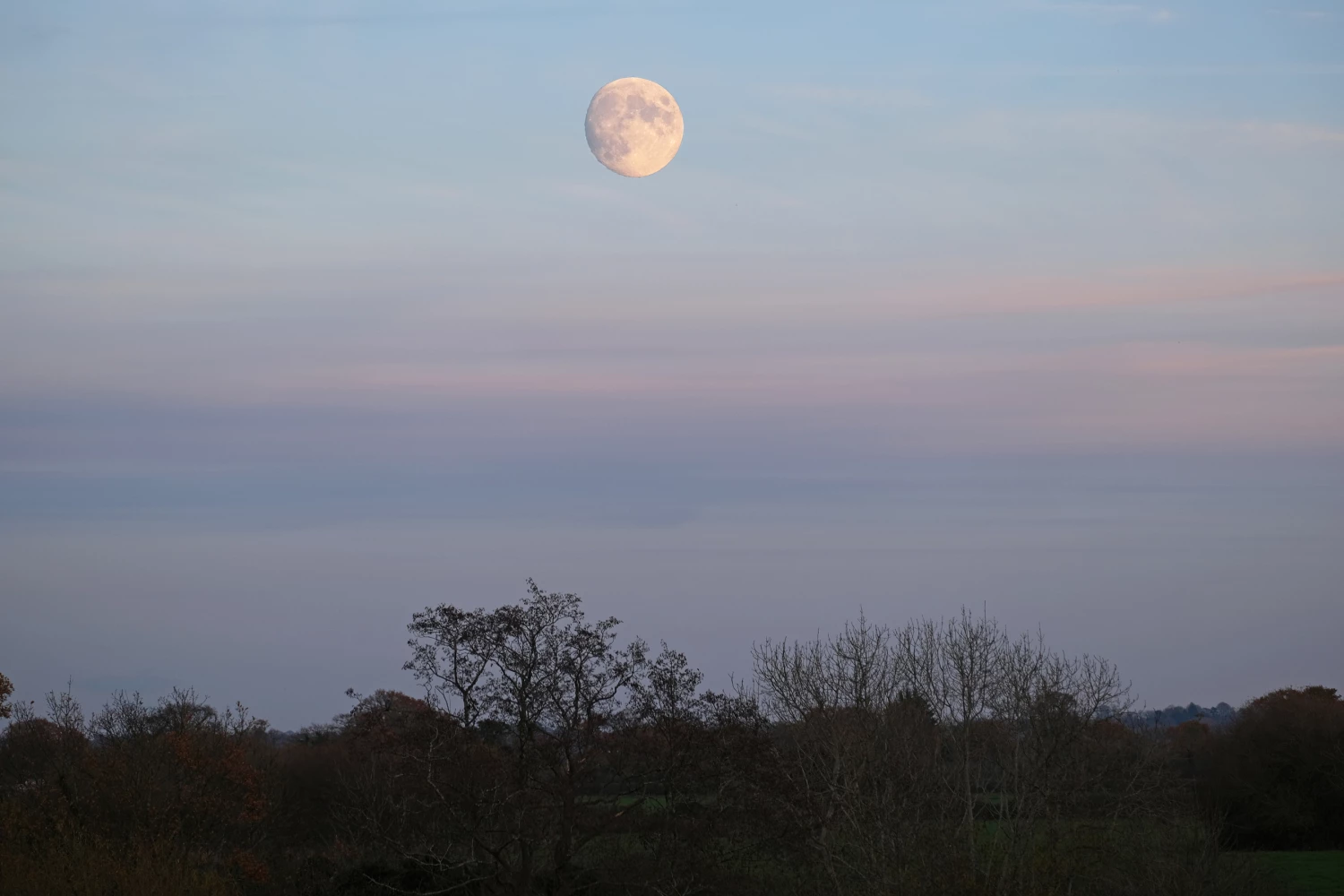 winter moon