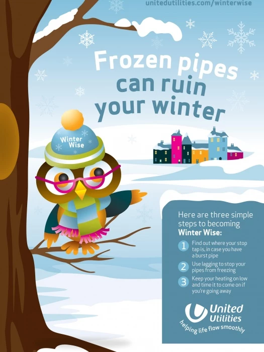 winter wise a4 poster