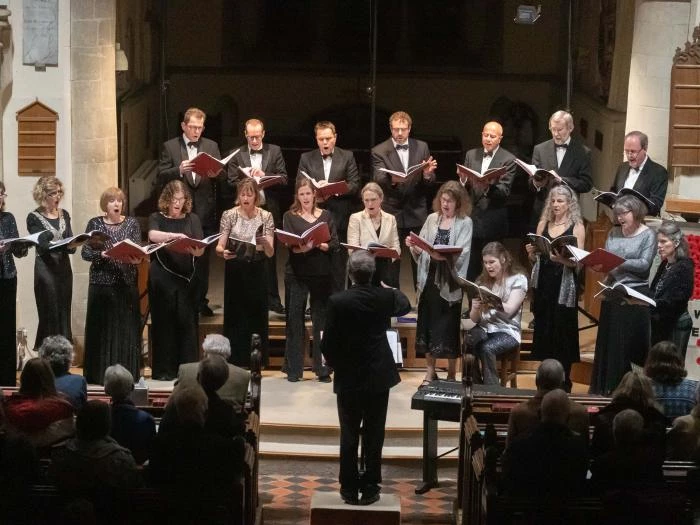 witcher choralenov19