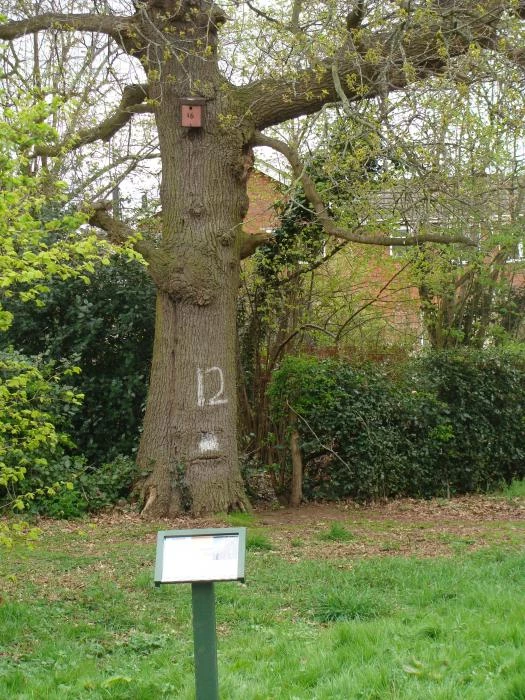woodland signage