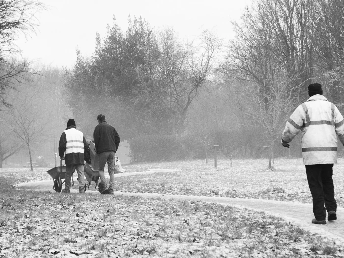 woodland volunteers black 7white