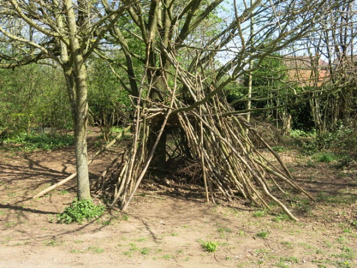 woodland walk 3image7831