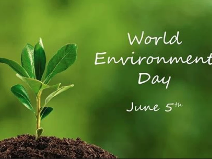 world environment day