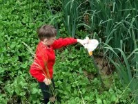 wrenbury primary schoolimage