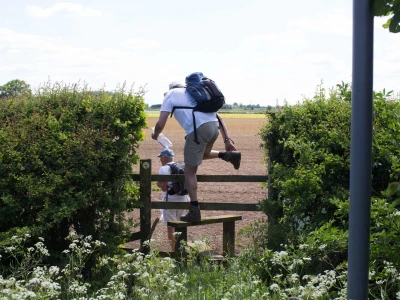 wychert wayimage