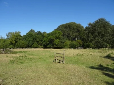 wychert wayimage