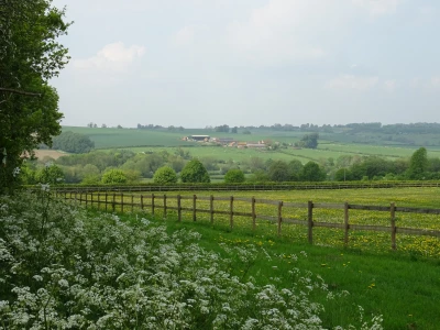 wychert wayimage