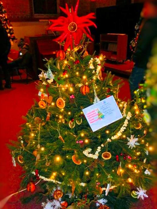 xmas tree 2019 01