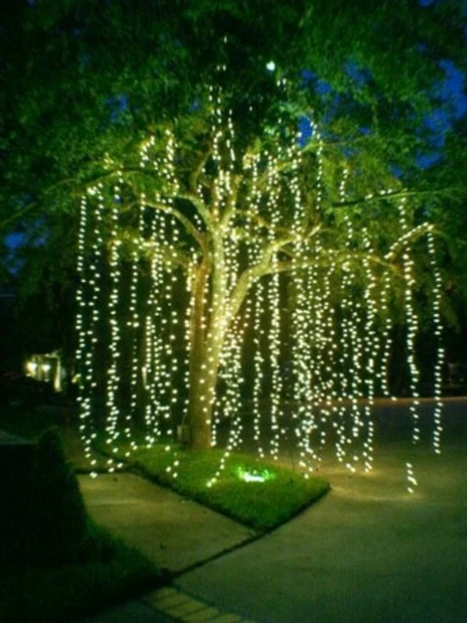 xmas tree lights 02
